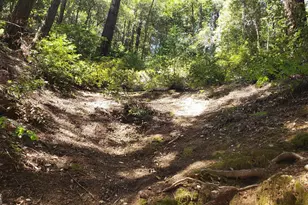 18190 Old Monte Rio Rd, Guerneville, CA 95446 - Photo 1