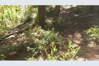 18190 Old Monte Rio Road, Guerneville, CA 95446 - Photo 11