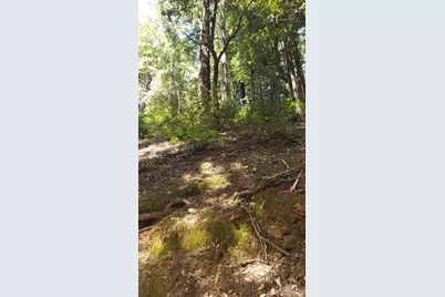 18190 Old Monte Rio Road, Guerneville, CA 95446 - Photo 3