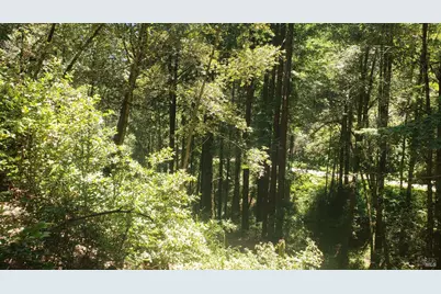 18190 Old Monte Rio Road, Guerneville, CA 95446 - Photo 17