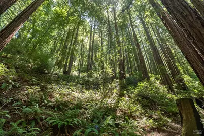 7001 Lucas Valley Road, Nicasio, CA 94946 - Photo 27