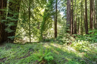 7001 Lucas Valley Road, Nicasio, CA 94946 - Photo 23