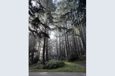 880 River Beach Road, The Sea Ranch, CA 95497 - Photo 37