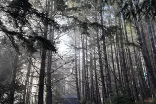 880 River Beach Rd, The Sea Ranch, CA 95497 - Photo 43