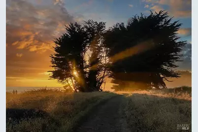 880 River Beach Road, The Sea Ranch, CA 95497 - Photo 57