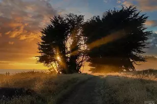 880 River Beach Rd, The Sea Ranch, CA 95497 - Photo 57