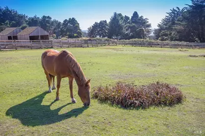 880 River Beach Road, The Sea Ranch, CA 95497 - Photo 53