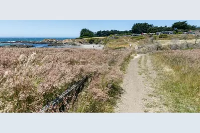 880 River Beach Road, The Sea Ranch, CA 95497 - Photo 49