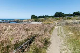 880 River Beach Rd, The Sea Ranch, CA 95497 - Photo 49
