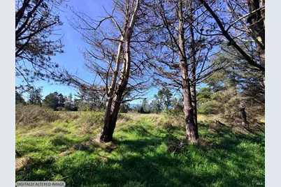 36359 Timber Ridge Road, The Sea Ranch, CA 95497 - Photo 3