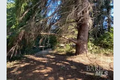 36359 Timber Ridge Road, The Sea Ranch, CA 95497 - Photo 15