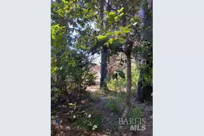 36359 Timber Ridge Road, The Sea Ranch, CA 95497 - Photo 19