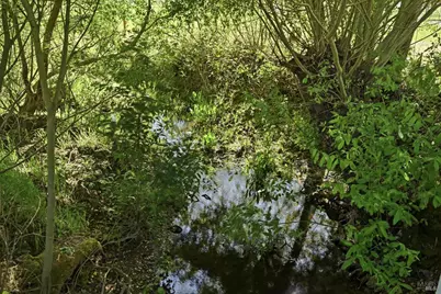 4320 Roblar Road, Petaluma, CA 94952 - Photo 49