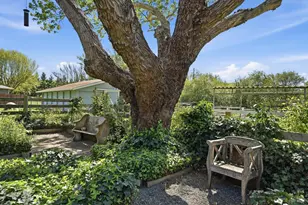 4320 Roblar Rd, Petaluma, CA 94952 - Photo 3