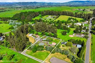 4320 Roblar Rd, Petaluma, CA 94952 - Photo 59