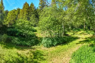 3320 Redwood Rd, Napa, CA 94558 - Photo 53