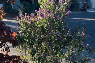 212 Eaton Ct, Benicia, CA 94510 - Photo 51