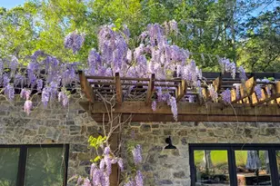 5270 Dry Creek Rd, Napa, CA 94558 - Photo 31