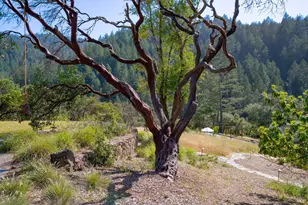 5270 Dry Creek Rd, Napa, CA 94558 - Photo 37