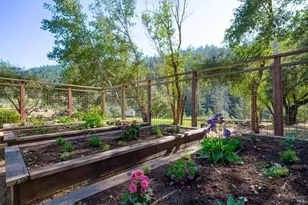 5270 Dry Creek Rd, Napa, CA 94558 - Photo 49