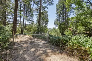 4601 Lake County Hwy, Calistoga, CA 94515 - Photo 55