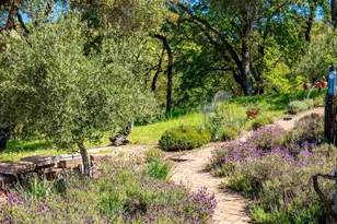 16101 Lost Crk Rd, Yorkville, CA 95494 - Photo 25