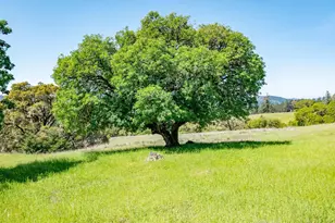 16101 Lost Crk Rd, Yorkville, CA 95494 - Photo 49