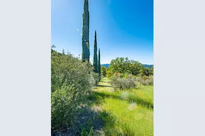 16101 Lost Creek Road, Yorkville, CA 95494 - Photo 61