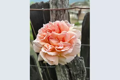 16101 Lost Creek Road, Yorkville, CA 95494 - Photo 65