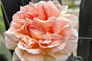 16101 Lost Crk Rd, Yorkville, CA 95494 - Photo 65