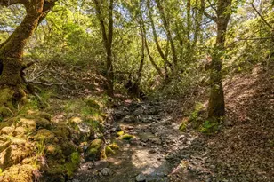 16101 Lost Crk Rd, Yorkville, CA 95494 - Photo 75