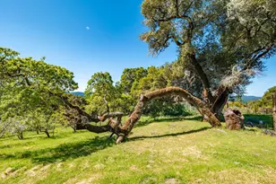 16101 Lost Crk Rd, Yorkville, CA 95494 - Photo 71