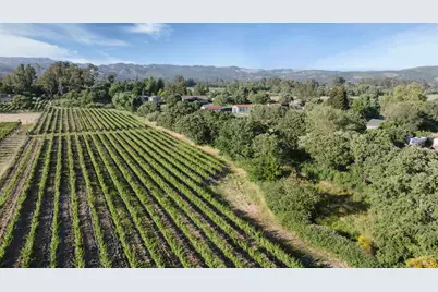 570 E Watmaugh Road, Sonoma, CA 95476 - Photo 3