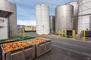 9141 Green Valley Rd, Sebastopol, CA 95472 - Photo 33