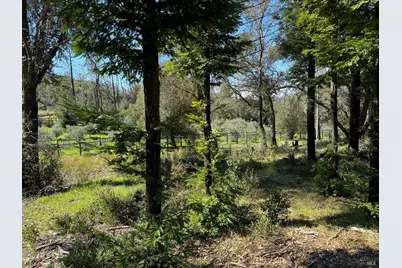9201 Franz Valley School Road, Calistoga, CA 94515 - Photo 5