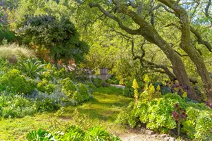 118 Francis Ave, San Anselmo, CA 94960 - Photo 41