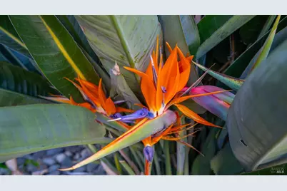 191 Bel Air Drive, Vacaville, CA 95687 - Photo 51