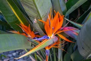 191 Bel Air Dr, Vacaville, CA 95687 - Photo 51