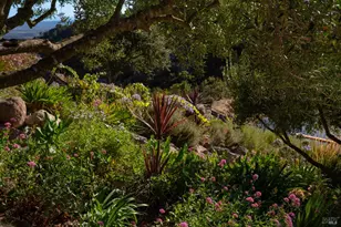 2700 Atlas Peak Rd, Napa, CA 94558 - Photo 67