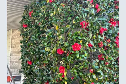 41 Plymouth Way, Santa Rosa, CA 95403 - Photo 5