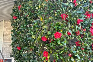 41 Plymouth Way, Santa Rosa, CA 95403 - Photo 5