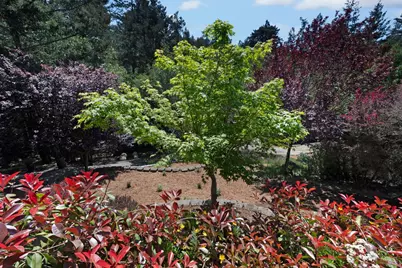 750 Wagnon Road, Sebastopol, CA 95472 - Photo 43