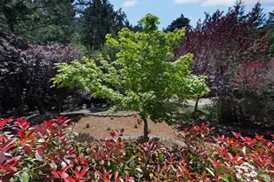 750 Wagnon Rd, Sebastopol, CA 95472 - Photo 43