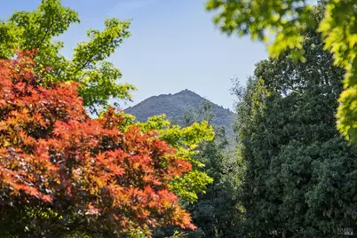 85 Berens Drive, Kentfield, CA 94904 - Photo 49