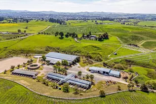 2420 Mountain Ranch Rd, Petaluma, CA 94954 - Photo 71