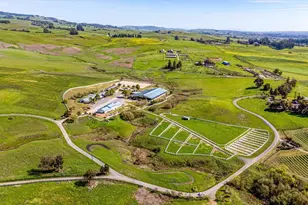 2420 Mountain Ranch Rd, Petaluma, CA 94954 - Photo 61