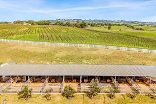 2420 Mountain Ranch Rd, Petaluma, CA 94954 - Photo 67