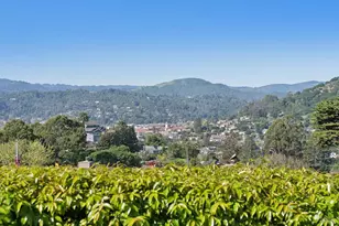 176 Highland Ave, San Rafael, CA 94901 - Photo 63