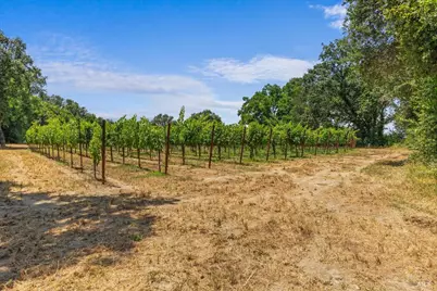 5647 Highway 128 Highway, Geyserville, CA 95441 - Photo 59