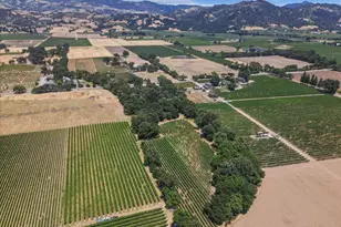 5647 Hwy 128 Hwy, Geyserville, CA 95441 - Photo 63